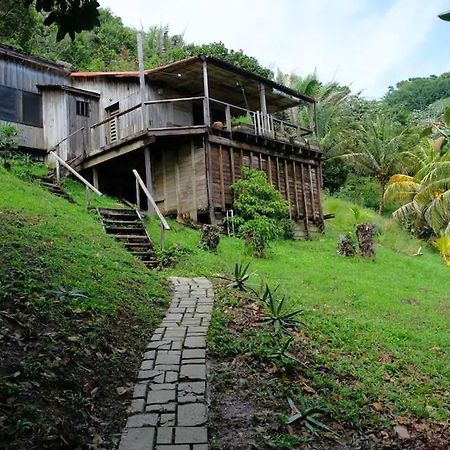 Guanaja Backpackers Hostel Dış mekan fotoğraf