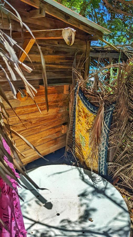Guanaja Backpackers Hostel Dış mekan fotoğraf