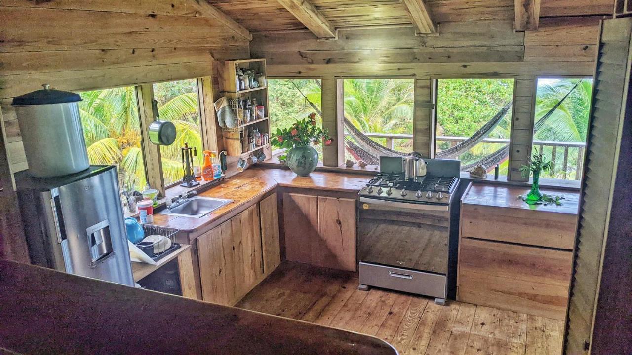 Guanaja Backpackers Hostel Dış mekan fotoğraf