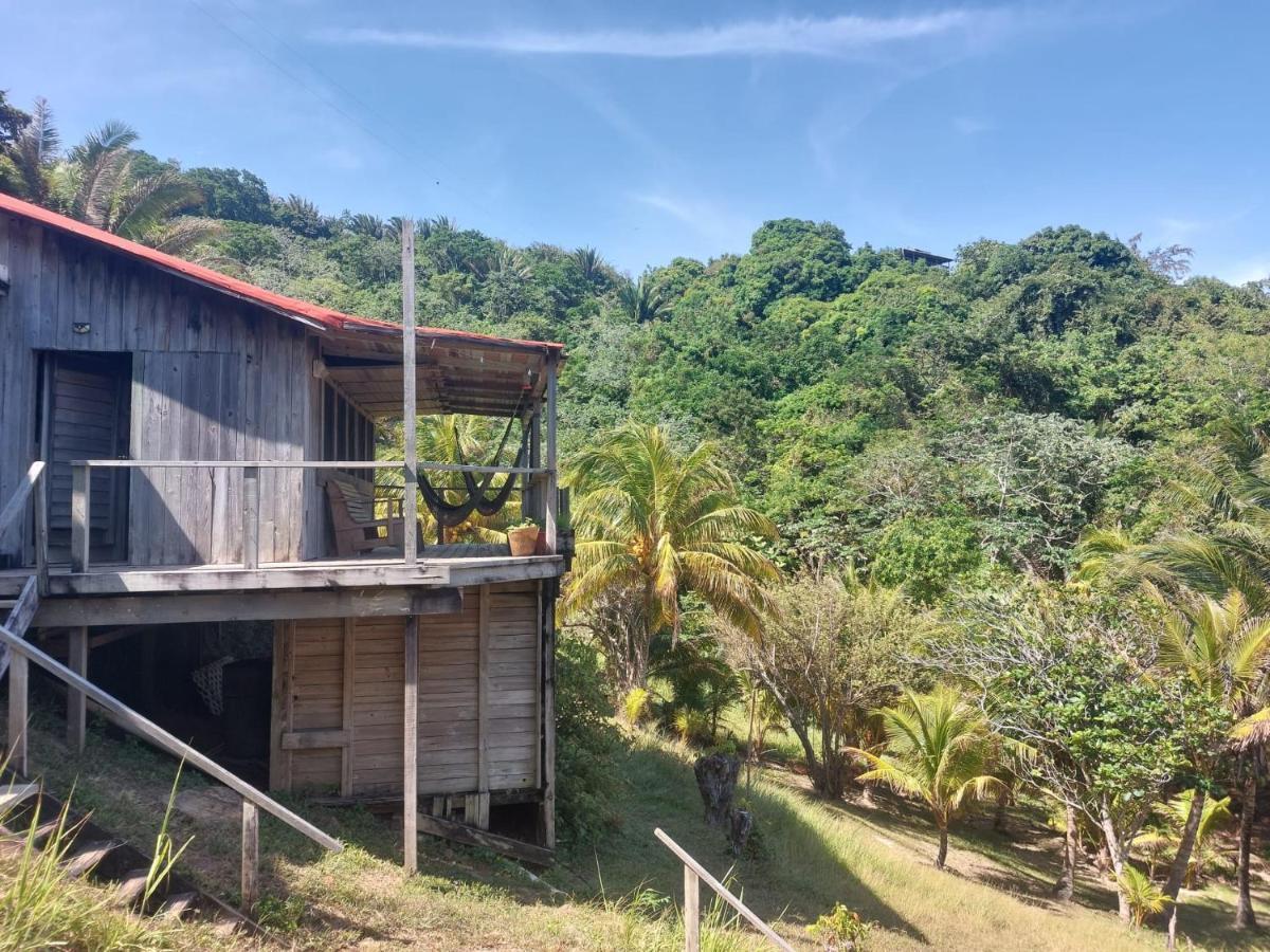 Guanaja Backpackers Hostel Dış mekan fotoğraf