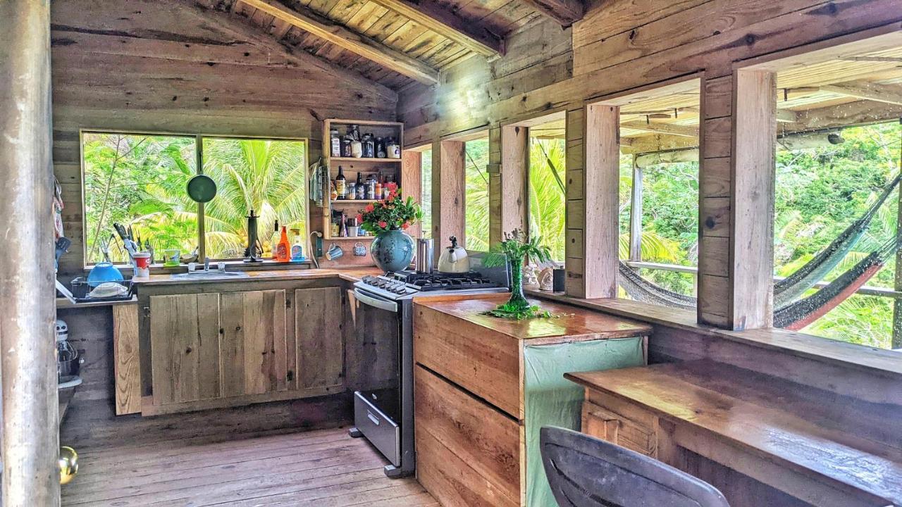 Guanaja Backpackers Hostel Dış mekan fotoğraf
